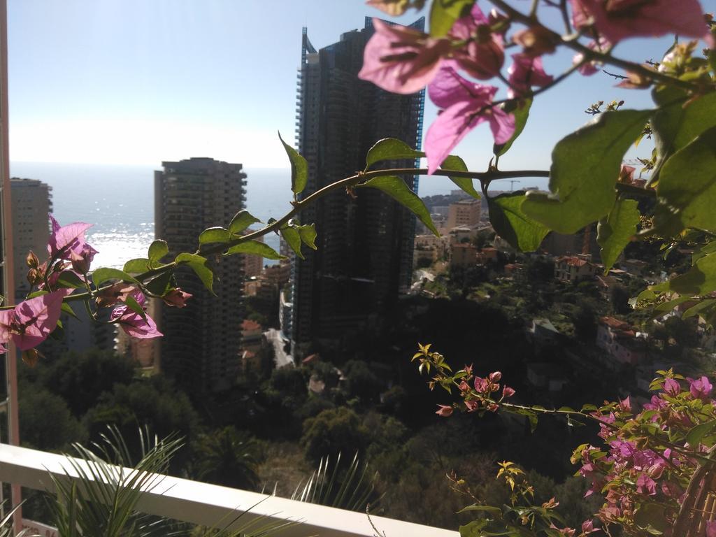 Monaco Pool Sea View Apartments Босолей Экстерьер фото
